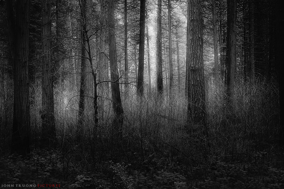 Dark Spirits