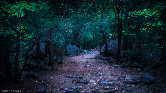 Valley Floor Loop Hike, Yosemite