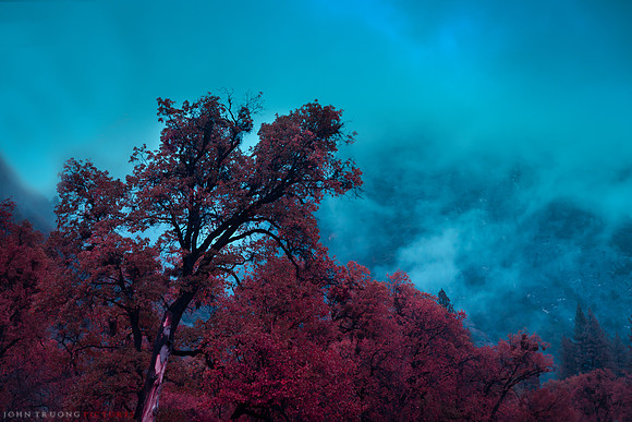 Foggy Evening, Yosemite Valley