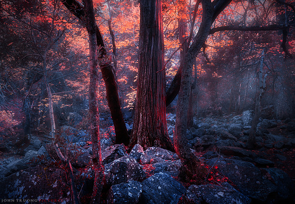 Ember and Ashes, Yosemite Valley Floor Loop Trail